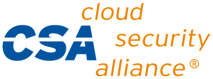 CSAI Foundation logo